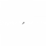 Logo Capgemini