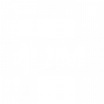 Logo IDM